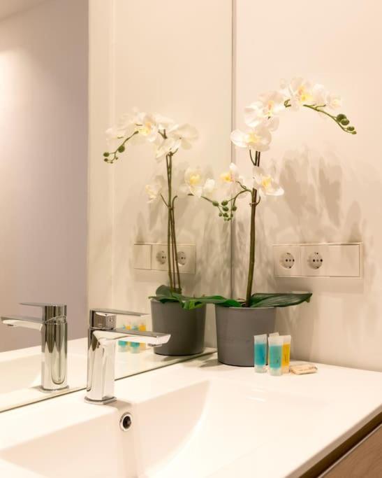 Amazing Apartment! Quiet And Bright, Madrid. المظهر الخارجي الصورة